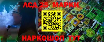 индика Будённовск