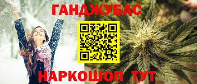 индика Будённовск