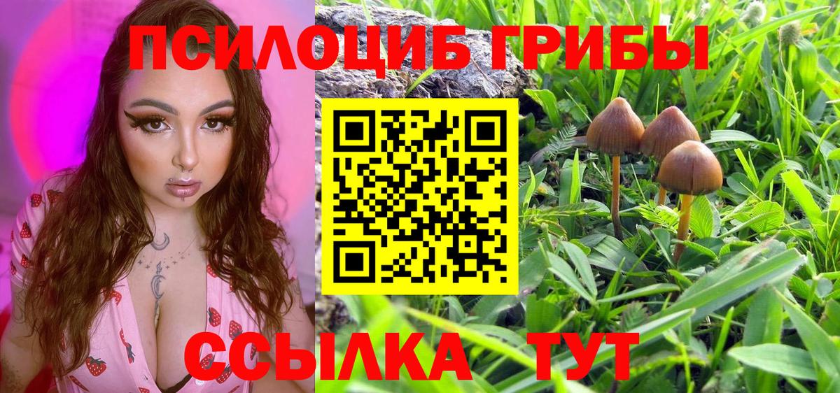 Галлюциногенные грибы MAGIC MUSHROOMS  Вход с VPN  Нижнекамск 